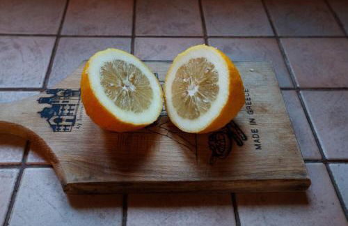 Kouvelia Country Home Luxury Villa Rental - Foto 43