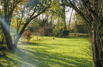 Maison du Grand Pin - Foto 23