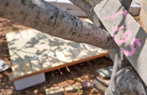 Figs & Grapes * Cosy small house * Marmari * South Evia - Foto 23