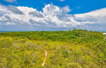 Key Largo Baha Penthouse Ocean Pointe 1416 - Foto 38