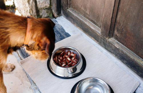 Casa Ortiz - Foto 29