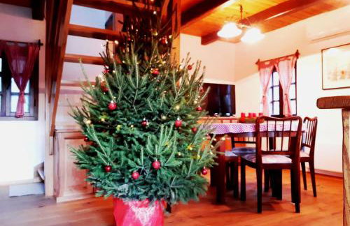 Vila Trnoružica - Foto 54