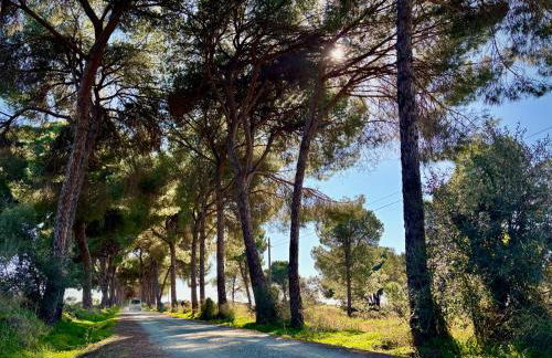 DescubreHome La Casa del Medico - Foto 32