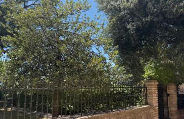 La Terrazza di Collepino - Photo 10