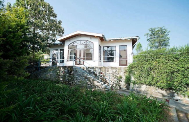 Tree of Life Junoon in The Hills - Foto 40