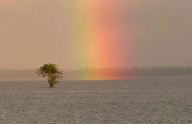 Lakefront Fishing and Grilling - Home Sweet Home! - Foto 7