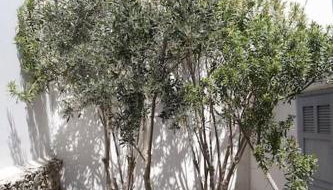 Beachfront 2br apartment - Free parking - Foto 3