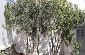 Beachfront 2br apartment - Free parking - Foto 3