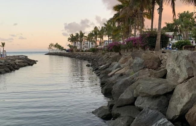 Ilios de Mogán 4 - With Terrace - Photo 24