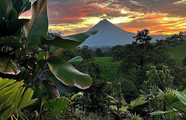Serene Hills Arenal - Photo 44