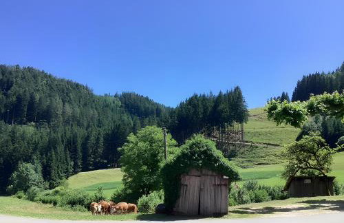 Waldbauernhof - Photo 49