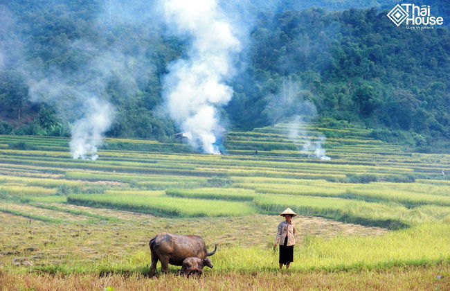 Thai House Pu Luong - Foto 69