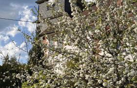 Ferienhaus Roßbachtal - Foto 32