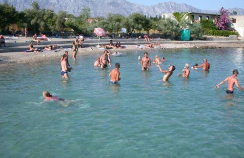 Manora guest pool house Sucuraj - Foto 45