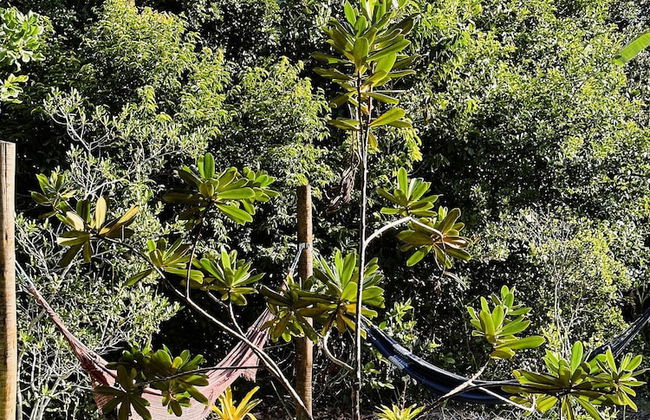 Casa da Mata Corumbau - Photo 47