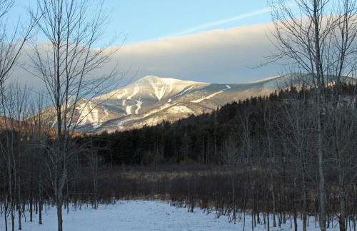 Esther Mountain Chalet - Foto 20