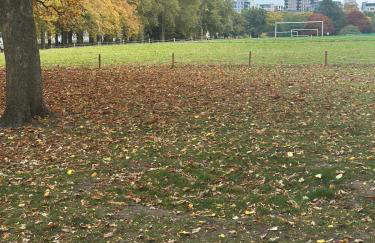 Large Putney Oasis 3-Bed with Garden & Parking - Foto 16