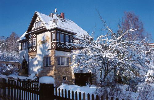 Ferienapartments Gohrisch Villa Schönblick - Foto 3