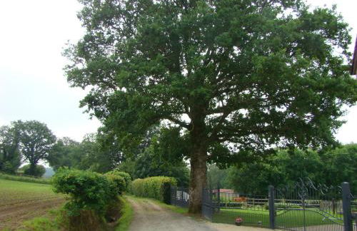 Gite de la Houssière - Foto 35
