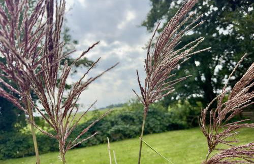 FeWo Nordseeflair OG - Wiarden - Foto 36