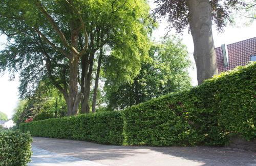 Ferienwohnung Alte Fehnapotheke, 95144 - Foto 7