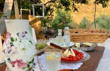 Παραδοσιακός πέτρινος ξενώνας σε φάρμα - Foto 25