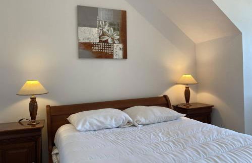 353 - T2 lumineux avec vue imprenable sur le Cap Fréhel et l'Anse du Croc. - Foto 8