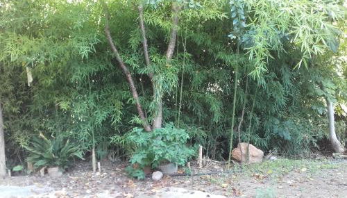 Casa Elina Lucena - Foto 3