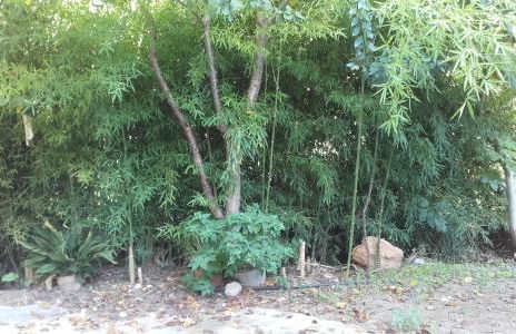 Casa Elina Lucena - Foto 3