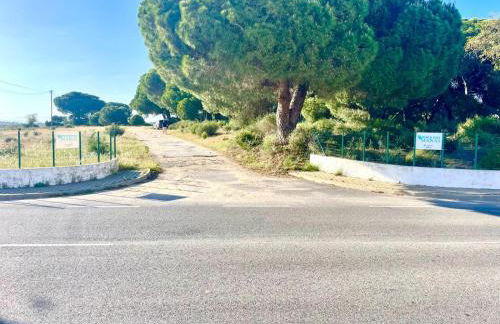 Toca das Manas - Foto 52