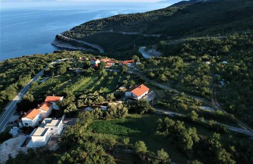 Guesthouse Villa Brestova - Foto 2