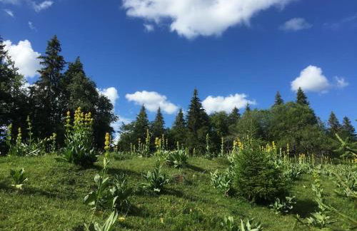 Charme et quiétude au cœur du Haut-Jura - Foto 39