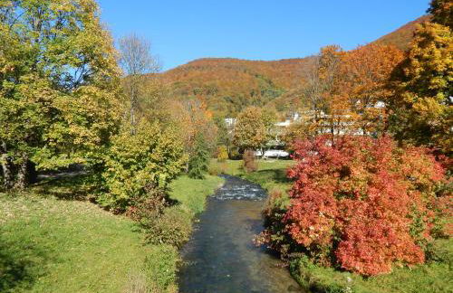 FREE Apartment - Bei den Thermen - Foto 58
