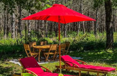 House de la Canopée, Swimming pool, Lake, Forest, large garden and WIFI - Foto 19