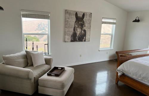 Top of the Hill - Foto 12