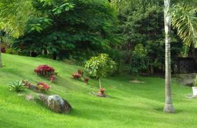 Quinta da Pedra do Elefante - Foto 62