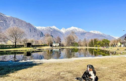 Apartment Lucia by Interhome - Foto 18