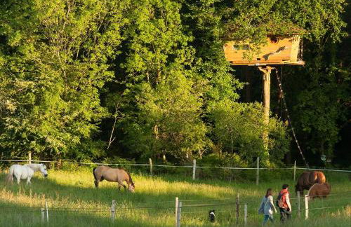 Dihan Evasion - Foto 54