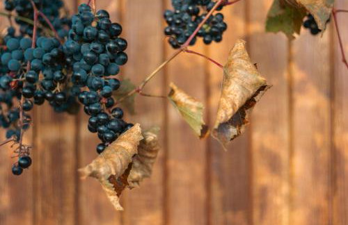 Za Oknem Wierchowa - Foto 28