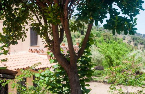 Agriturismo Fattoria di Grenne - Foto 19