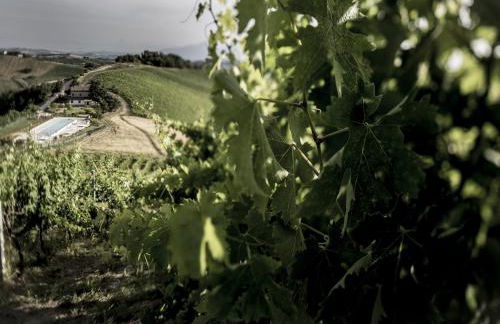 Enticing Apartment in Ascoli Piceno with Swimming Pool - Foto 33