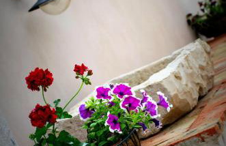 Villa Ragusa Vecchia - Photo 17