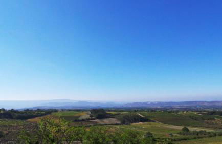 Maison Les Bruns, sur la route du Mont Ventoux - Photo 16