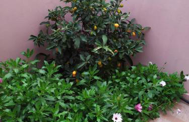 Creta guesthouse ARXONTIKO! - Foto 30