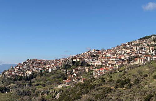 Delphi Gorge-view Chalet, Arachova - Foto 47