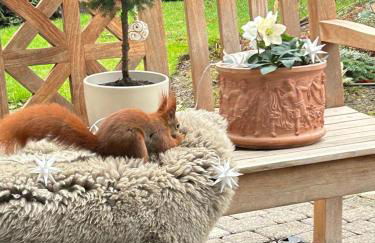 Heimathafen Hannover- Big House with swimmingpool, sauna and garden - Foto 46