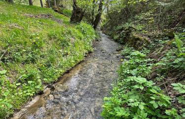 Domki letniskowe pod Brzozami Stella - Photo 35