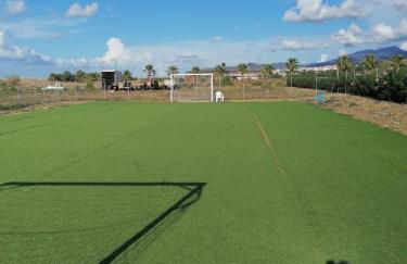 Stella marina - Foto 22