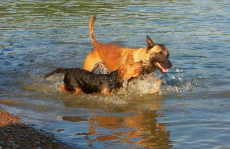 Haus Ceddy Diemelsee - Foto 29