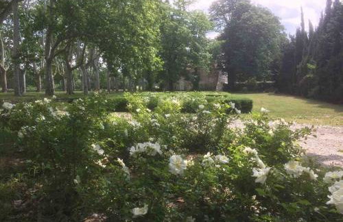 Château de Villeclare - 2 nuits minimum - Foto 30